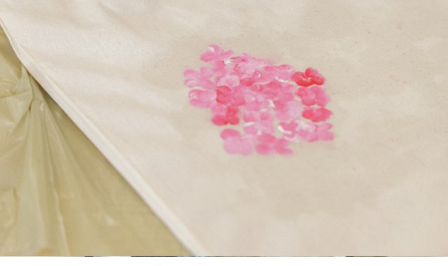 fot. Damian Pękalski