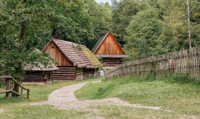 fot. Damian Pękalski