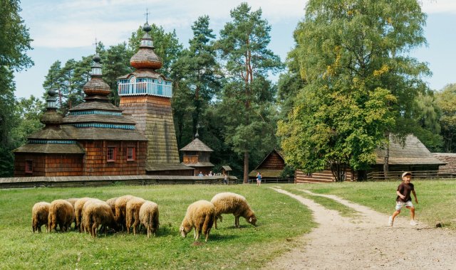 fot. Damian Pękalski